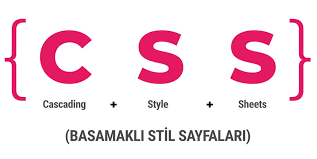 CSS Nedir?